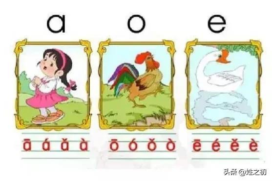 韵母带ou的拼音有哪些字体，ou的拼音有哪些字